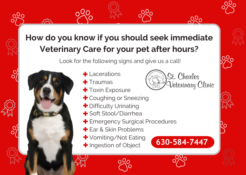 Carousel Slide 1: After-Hours Care